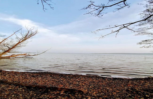 Ferienhaus Kiebitz, Plau am See - Photo 16