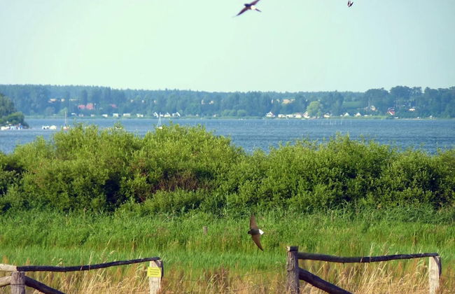 Ferienhaus Kiebitz, Plau am See - Photo 17