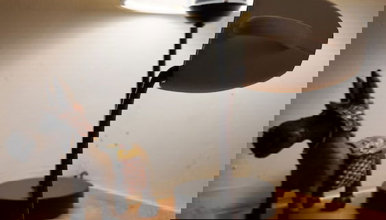 Rezeption