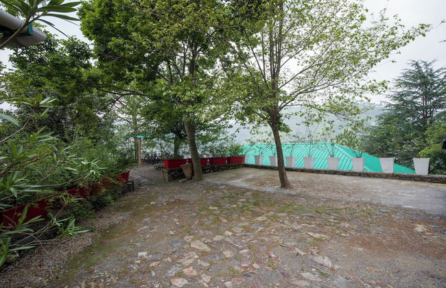 Alaya Stays Suro Woodbine Chalet Cottage - Photo 65
