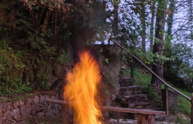 Alaya Stays Suro Woodbine Chalet Cottage - Photo 63