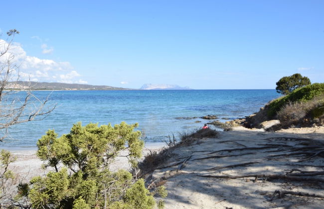 Appartamento Fabiana Budoni Sardegna - Foto 14