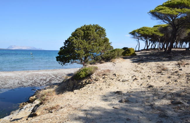 Appartamento Fabiana Budoni Sardegna - Foto 16