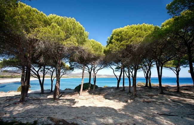 Appartamento Fabiana Budoni Sardegna - Foto 13