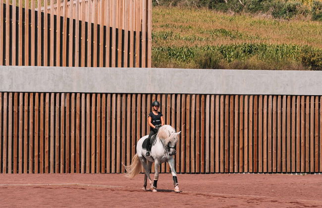 Lusitano Garden Villas - Photo 54