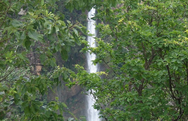 HOTEL CHALÉS ITIQUIRA - Foto 54