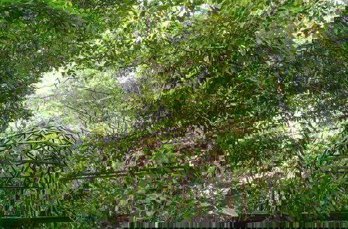Photo 38 - Taorayiná nature reserve