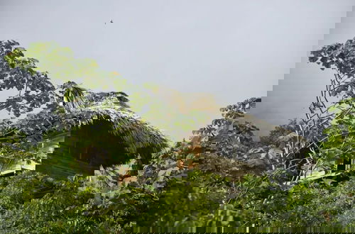 Photo 5 - Taorayiná nature reserve