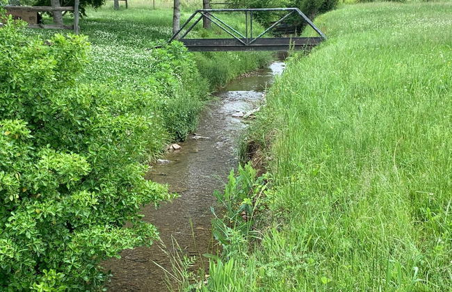 3BR 2bath Gorgeous Country Near Nashville F1 - Foto 5