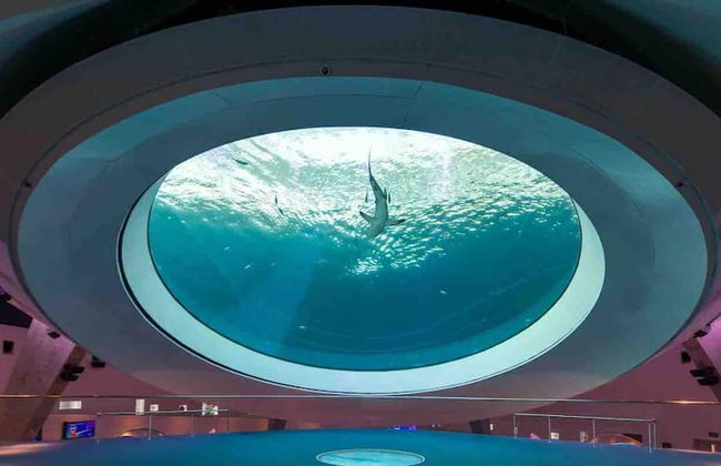 Fresh Modern With Pool Oasis - Photo 30
