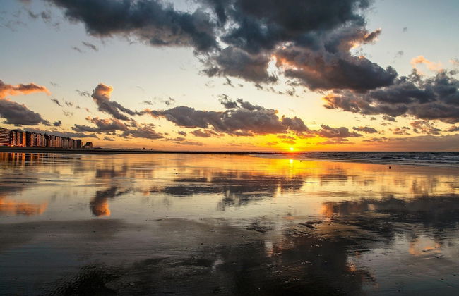 Seaview Apartment With Terrace - Foto 19