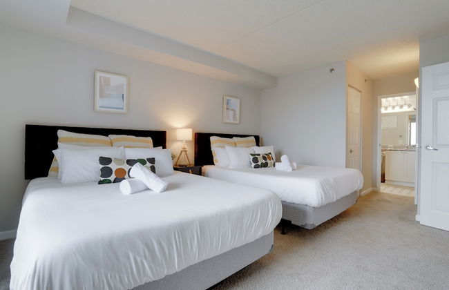 Spacious Apartment at Pentagon City - Foto 8