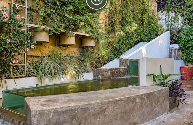 The Ava 16 in Jalisco - Foto 13