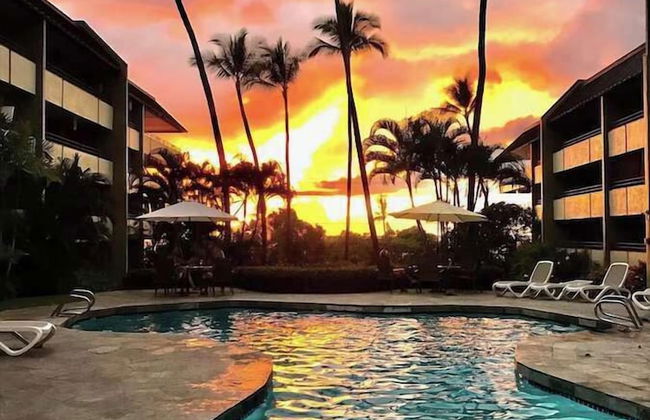 White Sands Village 214 Modern Condo for 4 w/ Enviable Ocean Views! - Foto 24