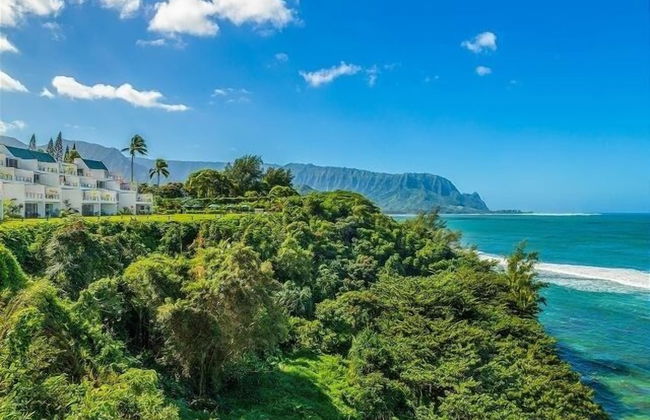 Puu Poa 407 2 Bedroom Condo by RedAwning - Foto 1