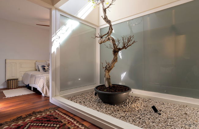 Feel Discovery P&P House Douro Valley - Foto 7