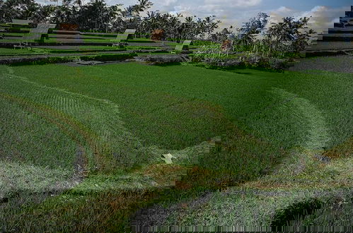 Photo 47 - Swaha Retreat & Eco Park Ubud
