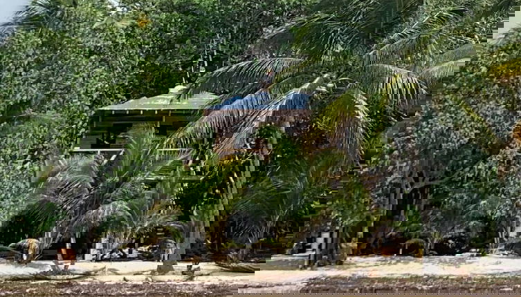 Photo 1 - Finca Beachfront Tree house