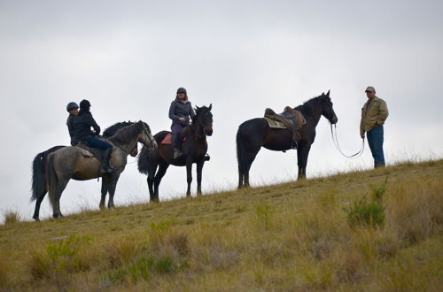 Photo 20 - Oudebosch Guest Farm