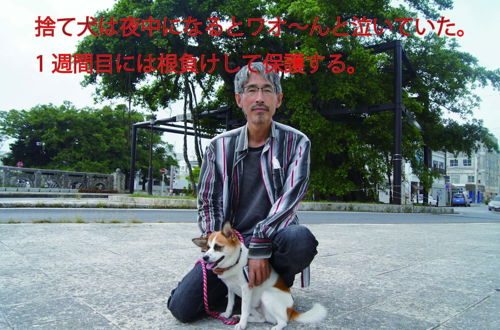 Foto 22 - Okinawa Freedom