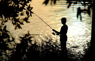 Photo 1 - Wooli River Lodges