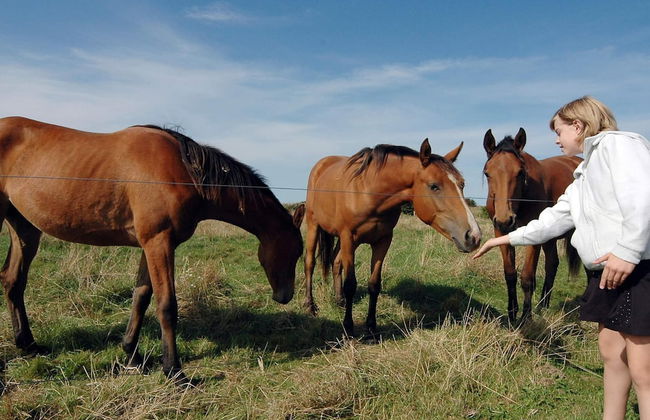 6 Person Holiday Home in Borkop-by Traum - Foto 22