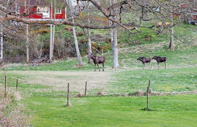 Holiday Home in Askeröarna - Foto 25