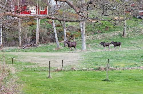 Photo 21 - Holiday Home in Askeröarna