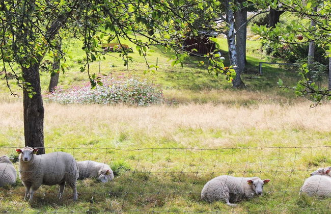 Holiday Home in Askeröarna - Foto 8