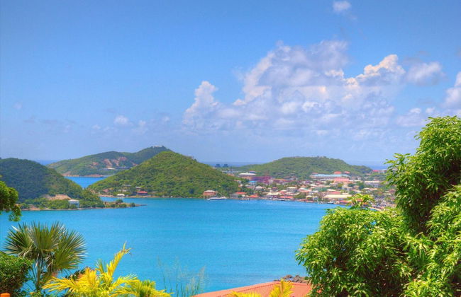 Castle Villas at Bluebeard's - Photo 10