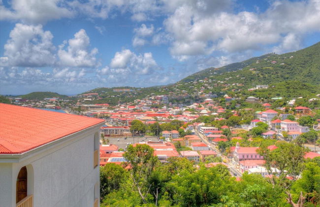 Castle Villas at Bluebeard's - Photo 34