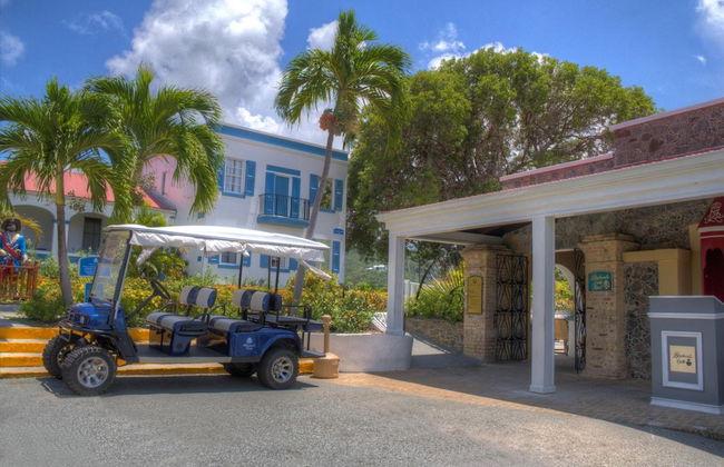 Castle Villas at Bluebeard's - Photo 29