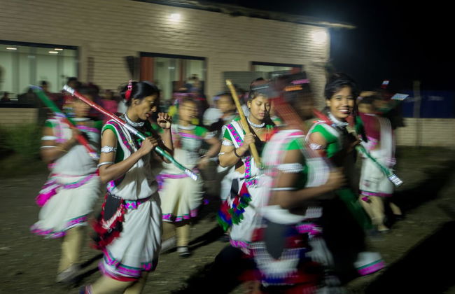 Nana Jungle Resort Near Chitwan National Park - Foto 32