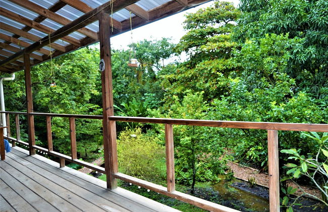 Treetop 'jungle Like' Escape in San Ignacio Your Belize Oasis Awaits! - Photo 6