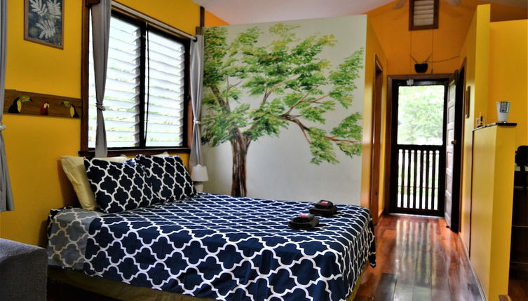 Photo 1 - One Of A Kind Tree Top Studio Vacation Home Favorite w Honeymooners and Couples