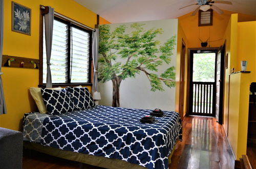 Photo 1 - One Of A Kind Tree Top Studio Vacation Home Favorite w Honeymooners and Couples