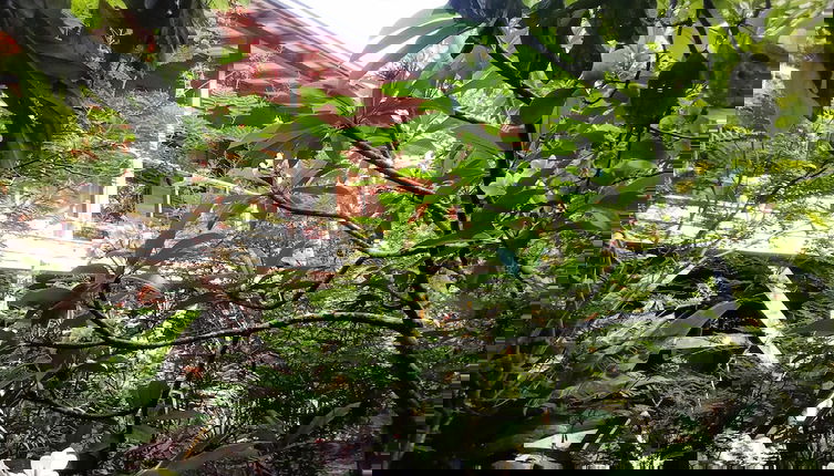 Foto 1 - Tree Top Home In A Jungle Like Oasis in San Ignacio, Start Your Adventure Here