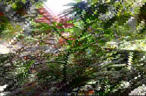 Foto 1 - Tree Top Home In A Jungle Like Oasis in San Ignacio, Start Your Adventure Here