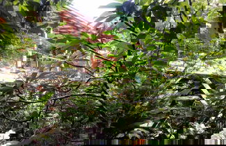 Photo 1 - Tree Top Home In A Jungle Like Oasis in San Ignacio, Start Your Adventure Here