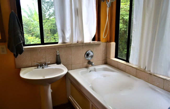 Treetop 'jungle Like' Escape in San Ignacio Your Belize Oasis Awaits! - Photo 9