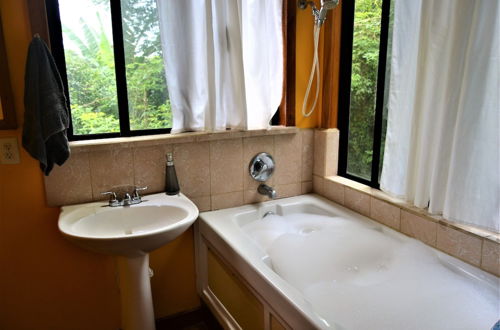 Photo 8 - One Bedroom Tree Top Studio Vacation Home @ The Tropical Acre San Ignacio Belize