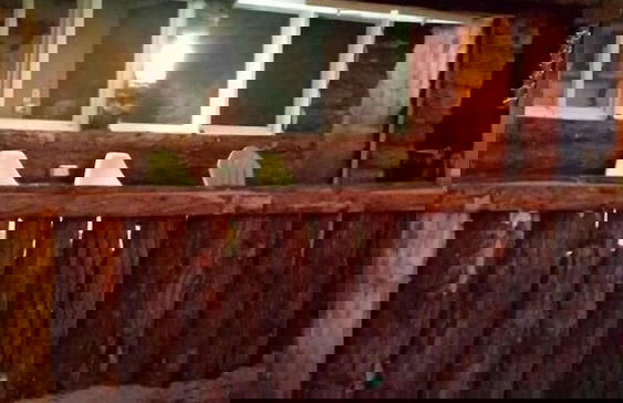 Teukava Beach Oasis - Photo 10