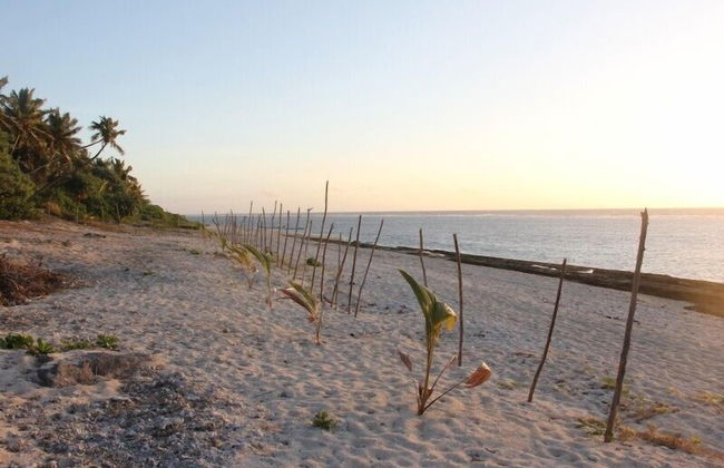 Teukava Beach Oasis - Photo 22