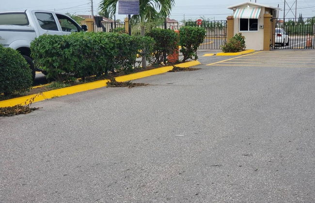 Beautiful 1-bed House in Old Harbour, Gated - Foto 32