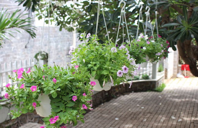 Des Ami Villa - Photo 38