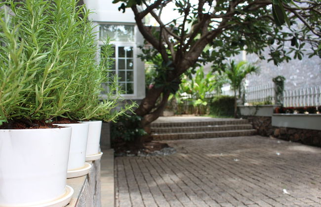 Des Ami Villa - Photo 34