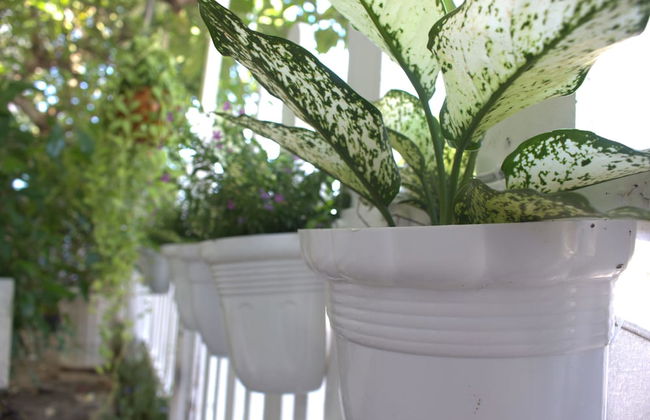 Des Ami Villa - Photo 39