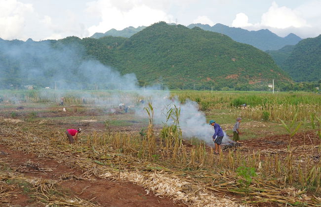 Mai Hich Farmstay - Photo 12