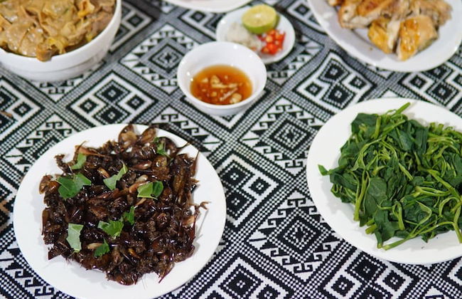 Mai Hich Farmstay - Photo 9