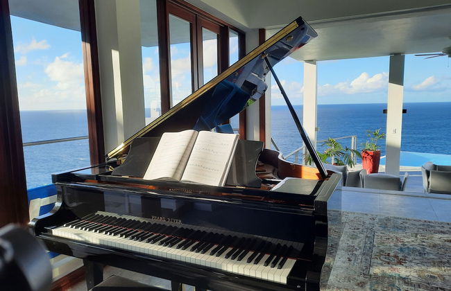 Villa Being - Tobago Luxury B&B - Foto 45